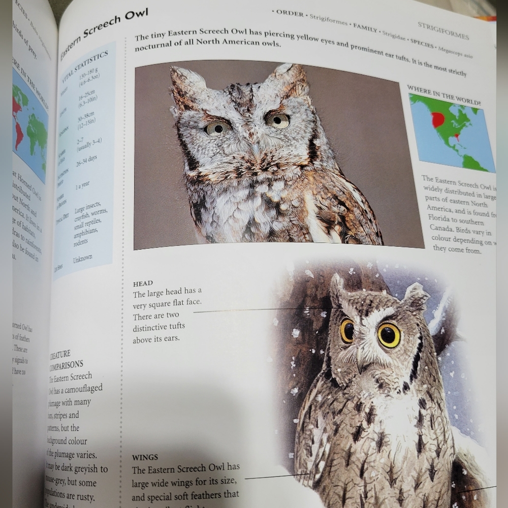Encyclopedia of BIRDS book contains illustrations and photographs hardcover